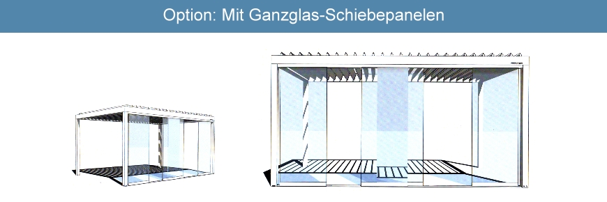 Option Ganzglas